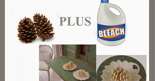 there are pictures of pine cones and other things on the table, including a bottle of bleach