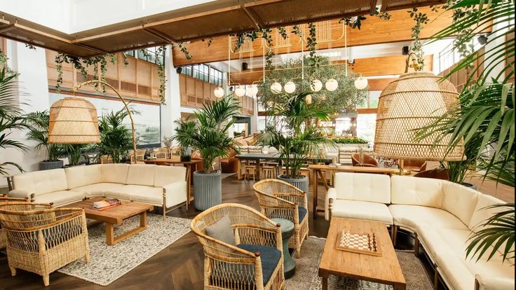 a living room filled with lots of furniture and plants