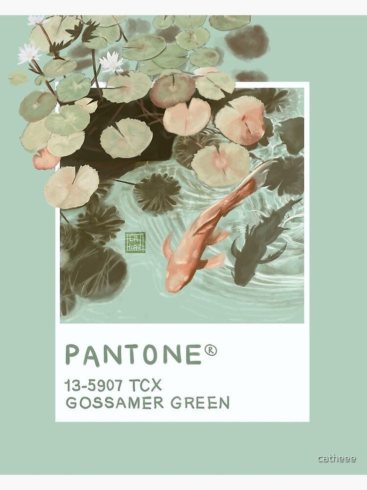 pantone's poster for gossamer green featuring koi and water lilies