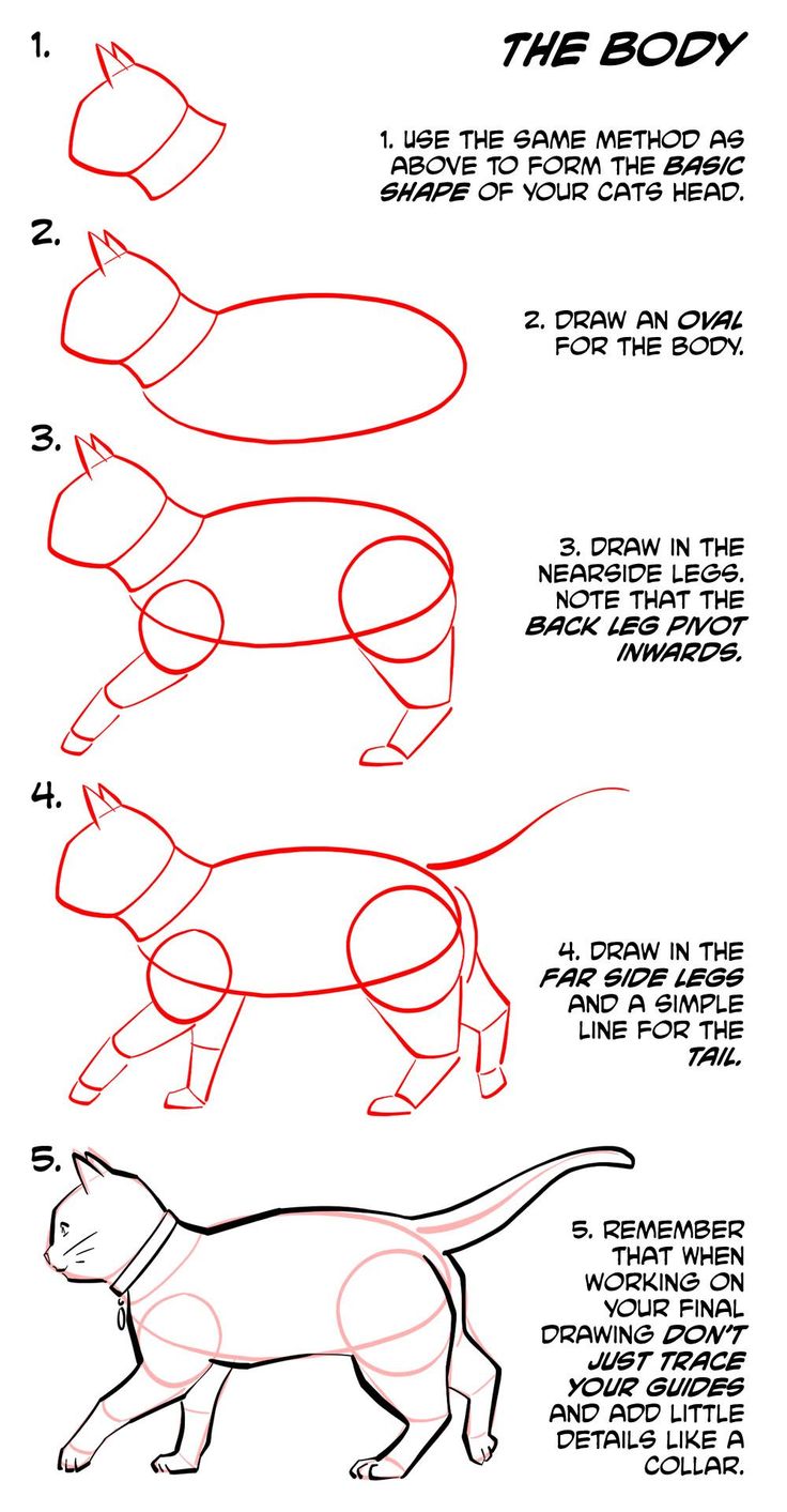 how to draw a cartoon cat step by step drawing instructions for kids and beginners