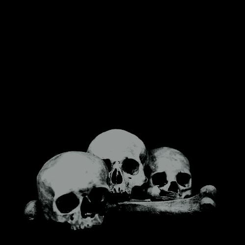 three skulls sitting on top of each other in the dark