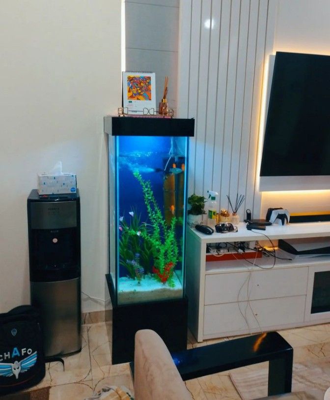 a living room filled with furniture and a fish tank