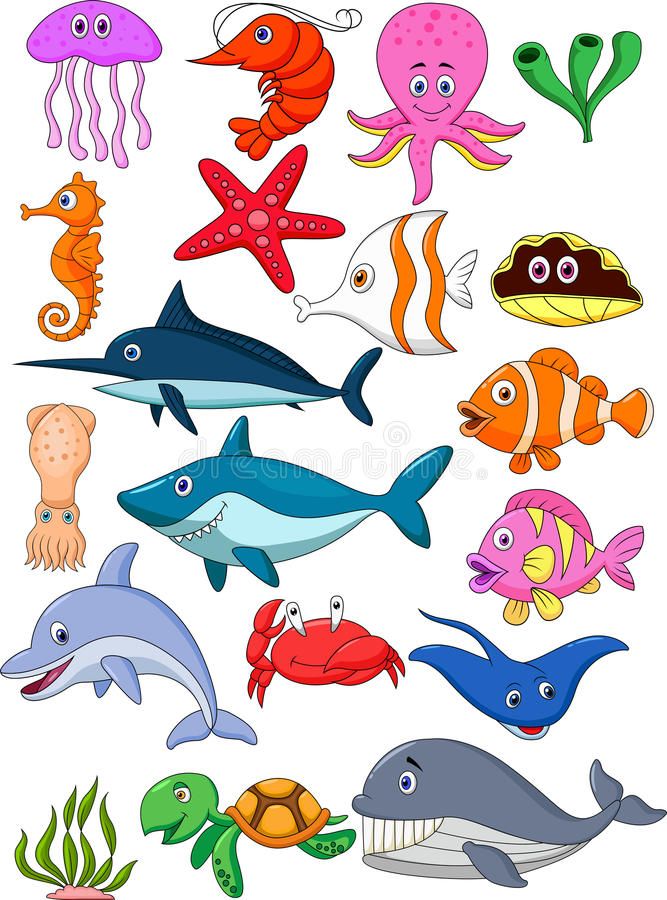 an image of sea animals on white background