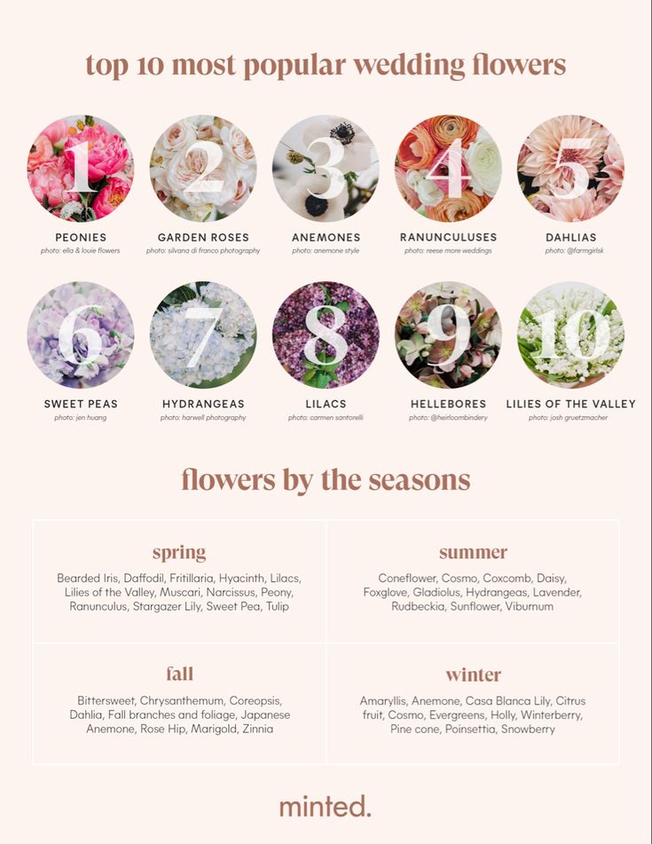 the top ten most popular wedding flowers infographical poster for your wedding, bridal or special event