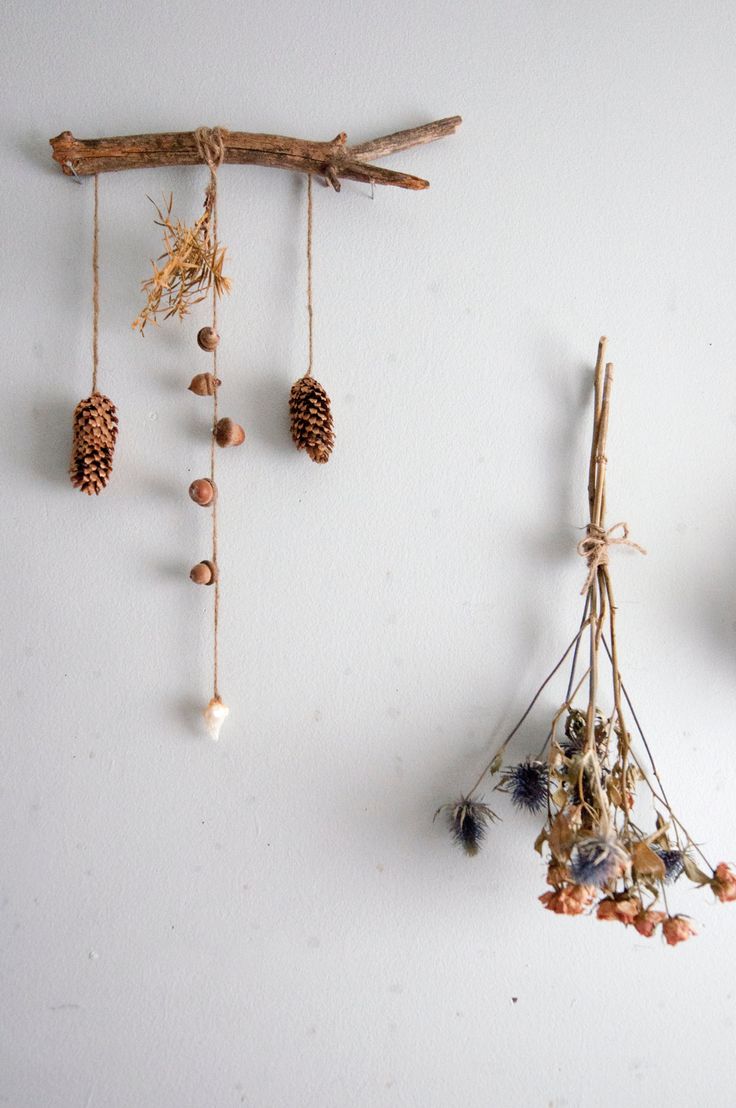 three pieces of driftwood are hanging on the wall with pine cones and other things