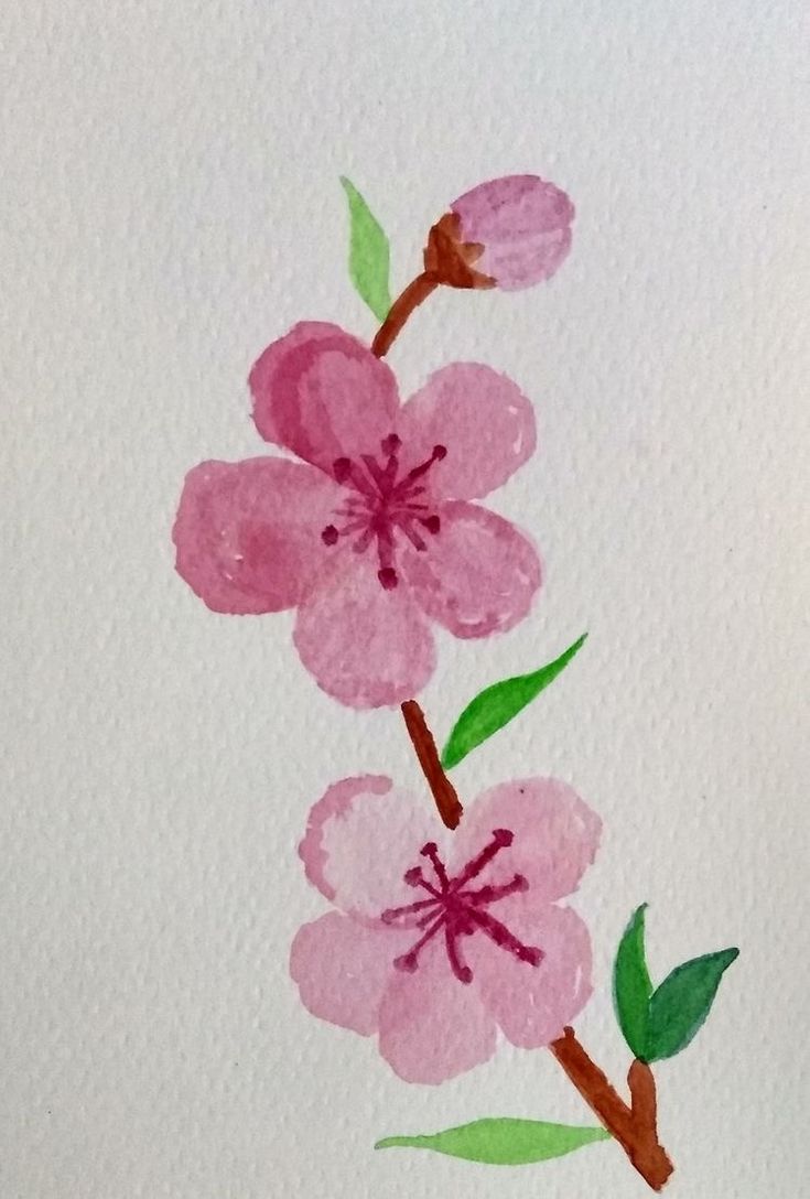 watercolor painting of pink flowers on white paper