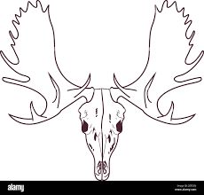 a drawing of a deer's head with large antlers on the back of it