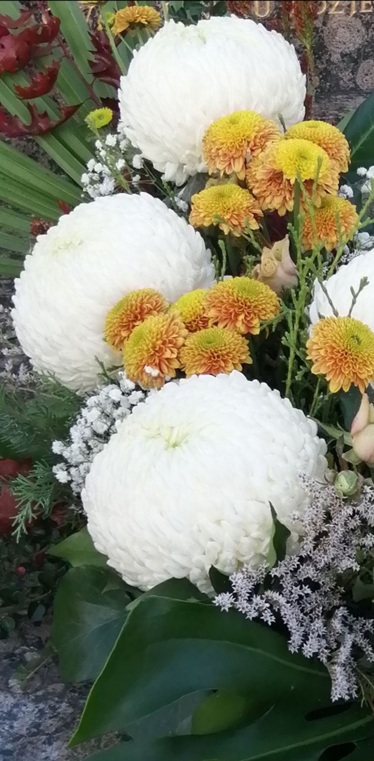 a bunch of flowers that are sitting on the ground