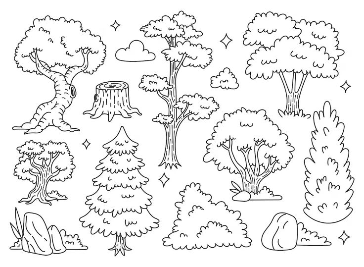 a black and white drawing of trees in the forest with rocks, stones and grass