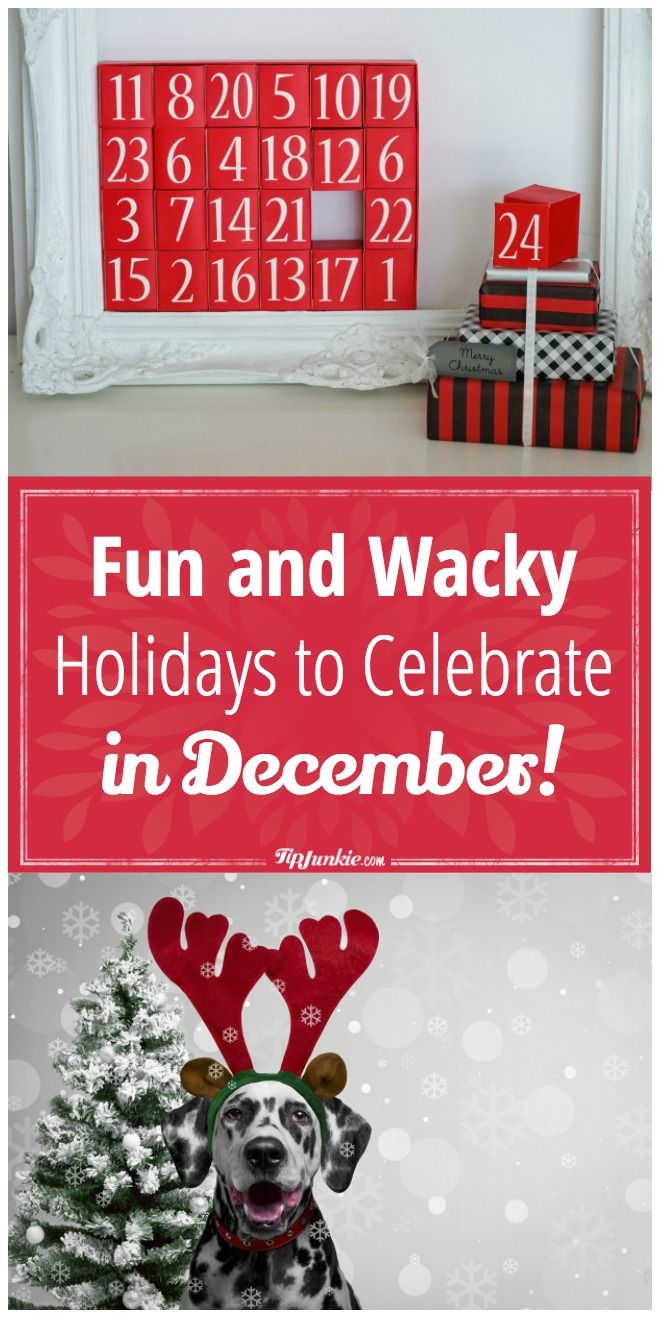 a christmas card with the words fun and wacky holidays to celebrate in december