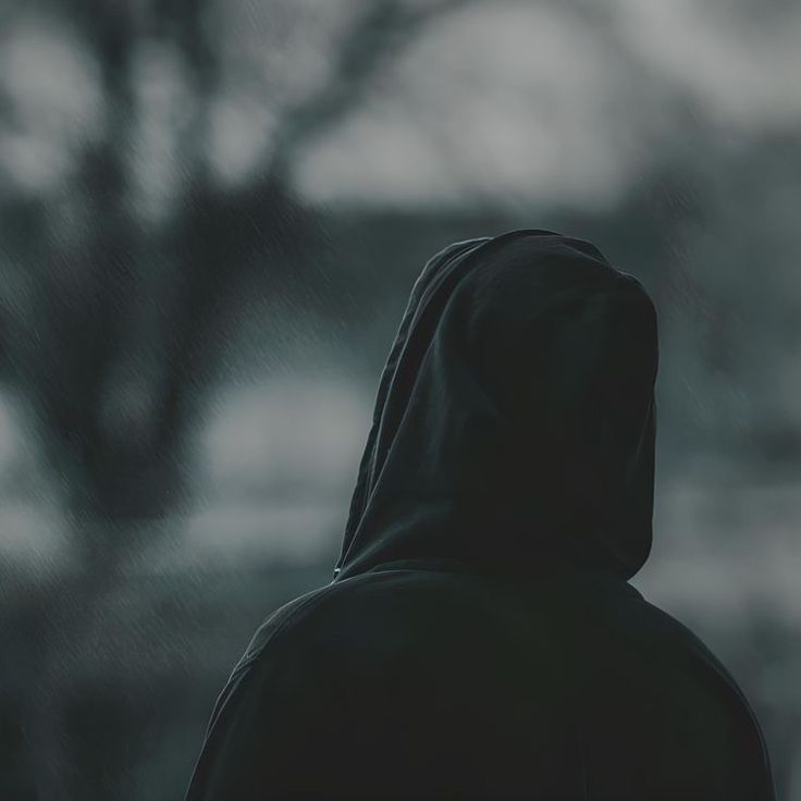 a person wearing a black hooded jacket looking out over a field with trees in the background