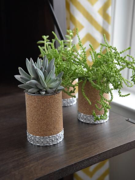 three small pots with plants in them on a table