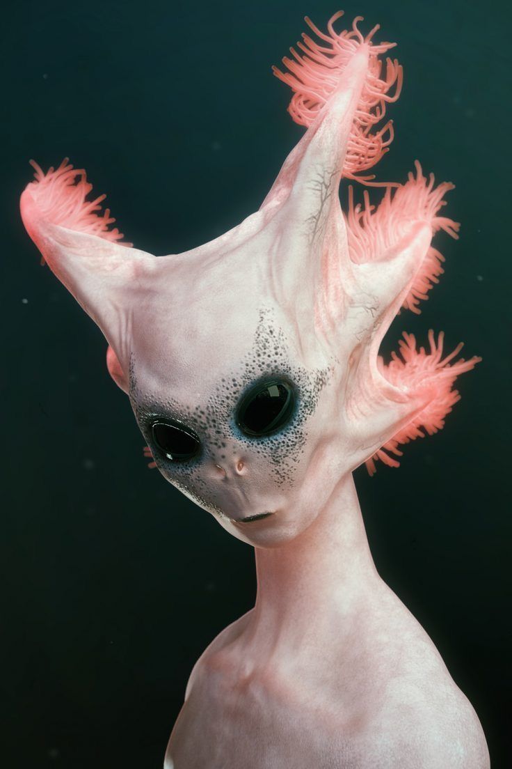 an alien cat with pink hair and black eyes