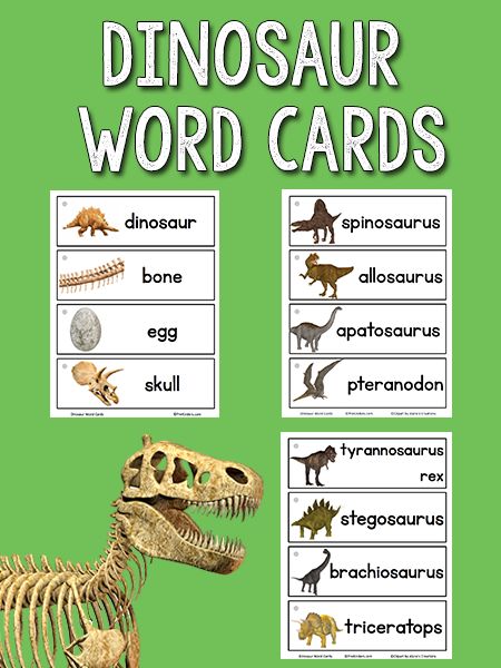 dinosaur word cards with pictures of dinosaurs and other things to read in the text box