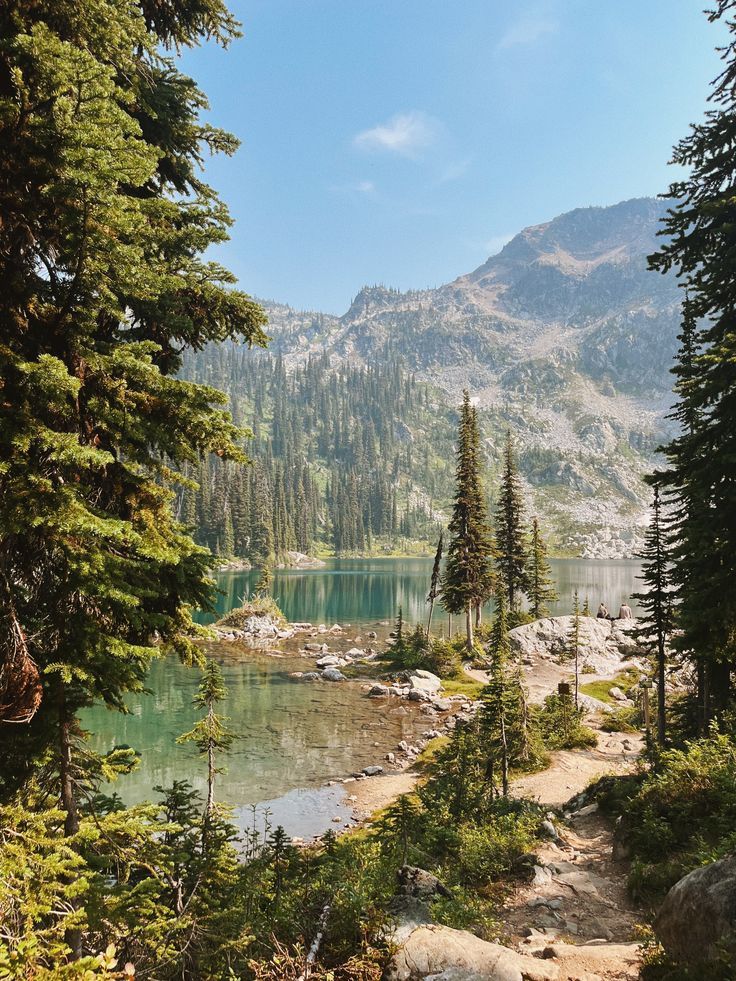 a trail leading to a lake surrounded by pine trees and mountain range in the background