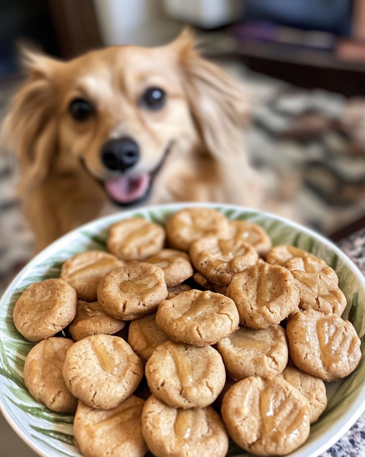 a bowl full of cookies sitting on top of a table next to a brown dog