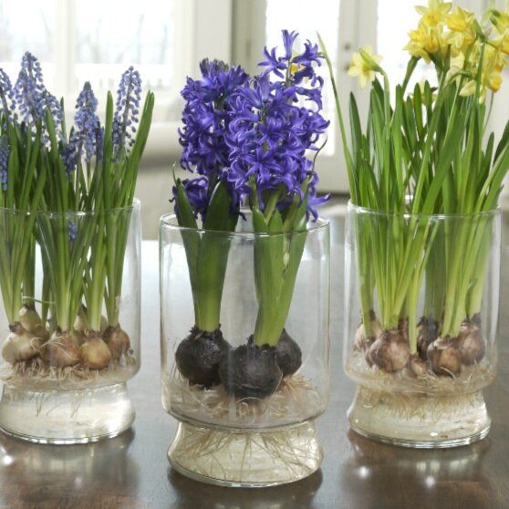 three glass vases with flowers in them on a table