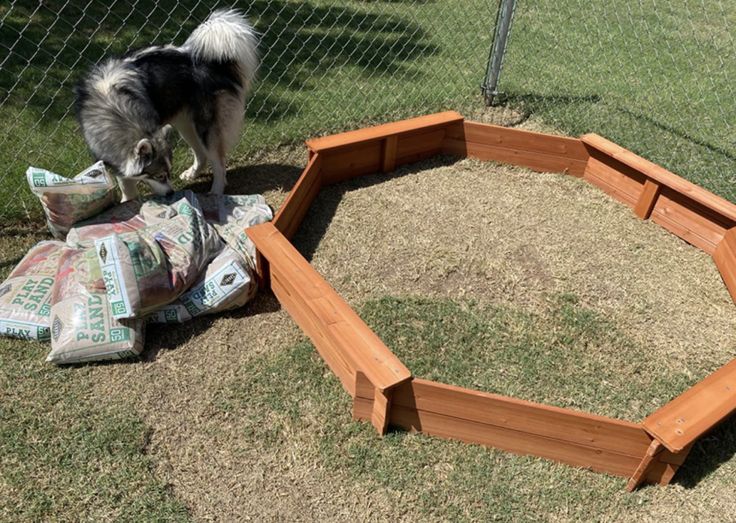 a dog standing on top of a pile of dirt next to a wooden planter