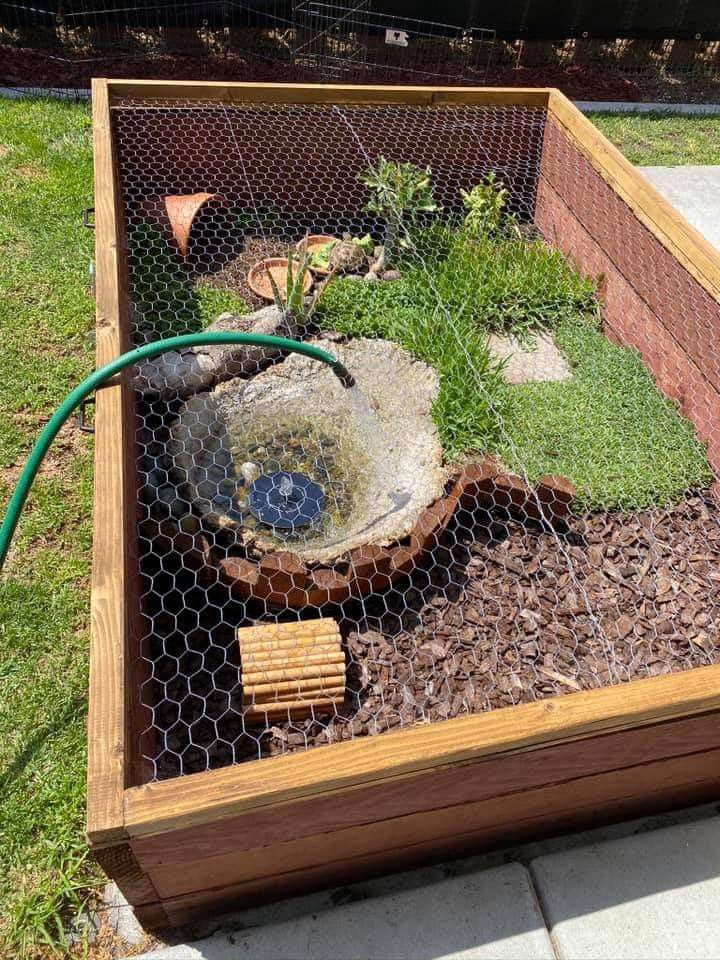 an outdoor garden in a wooden box filled with grass and rocks, including a watering hose