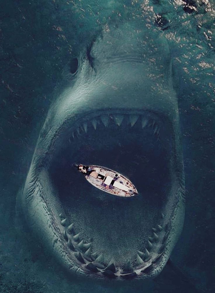 an aerial view of a shark with a boat in it's mouth