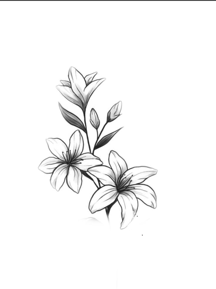 a drawing of some flowers on a white background