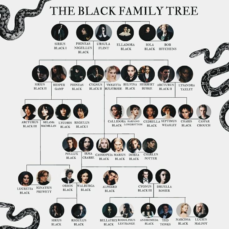 the black family tree is shown in this image