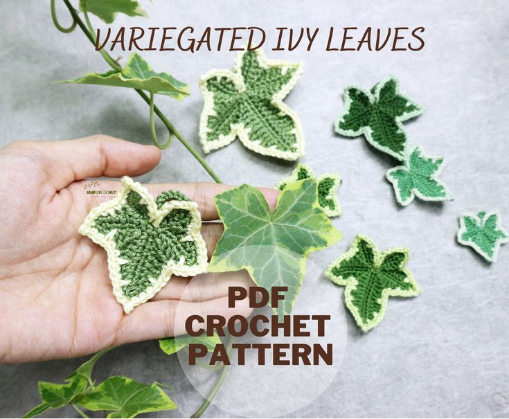 a person holding some green leaves on top of a white surface with the words variegated ivy leaves