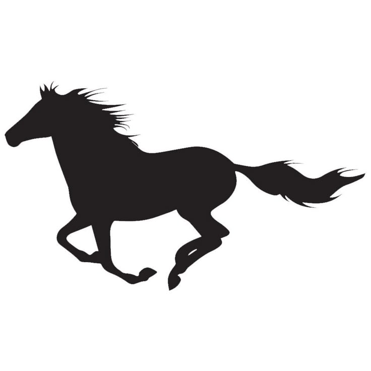 a black and white silhouette of a running horse with long manes on it's back legs