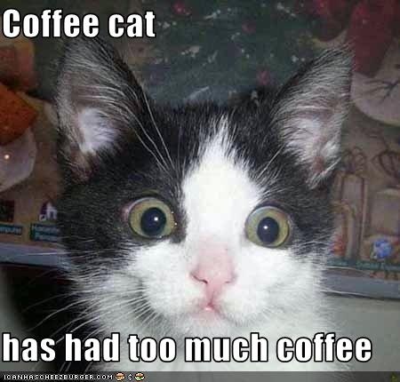 a black and white cat with the caption coffee cat has had too much coffee