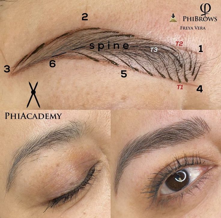 Cosmetic Tattoo Eyebrows, Mircoblading Eyebrows, Eyebrow Extensions, Eyebrow Design, Makeup For Older Women, Permanent Cosmetics, Eyebrow Makeup Tips, Permanent Makeup Eyebrows, Cosmetic Tattoo