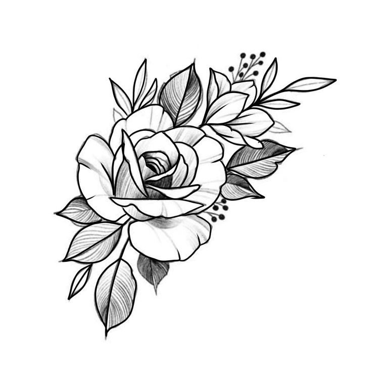 a black and white rose tattoo design