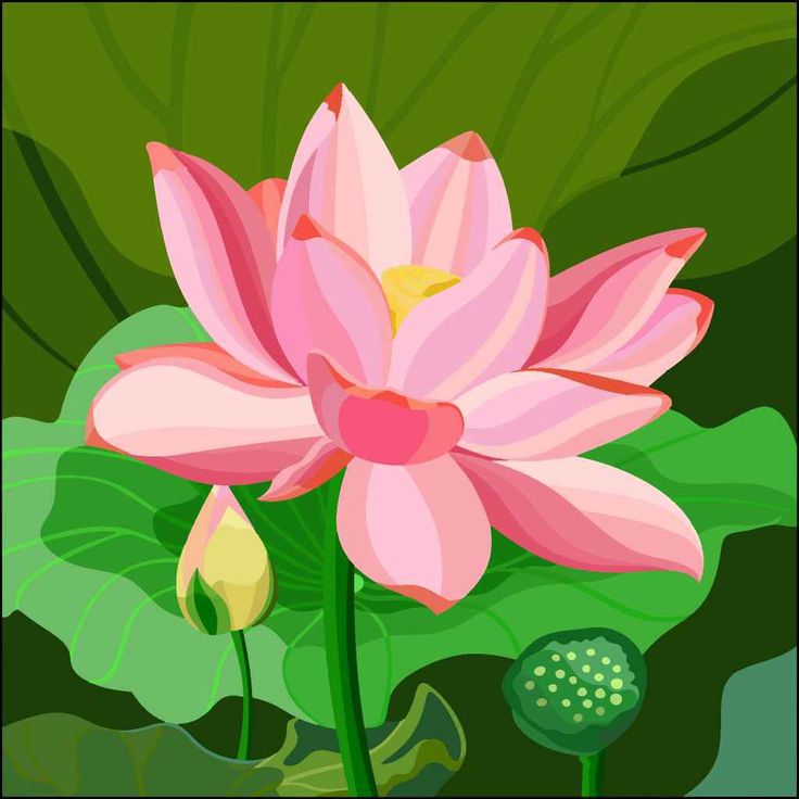 a pink lotus flower with green leaves in the foreground and a butterfly on the far side