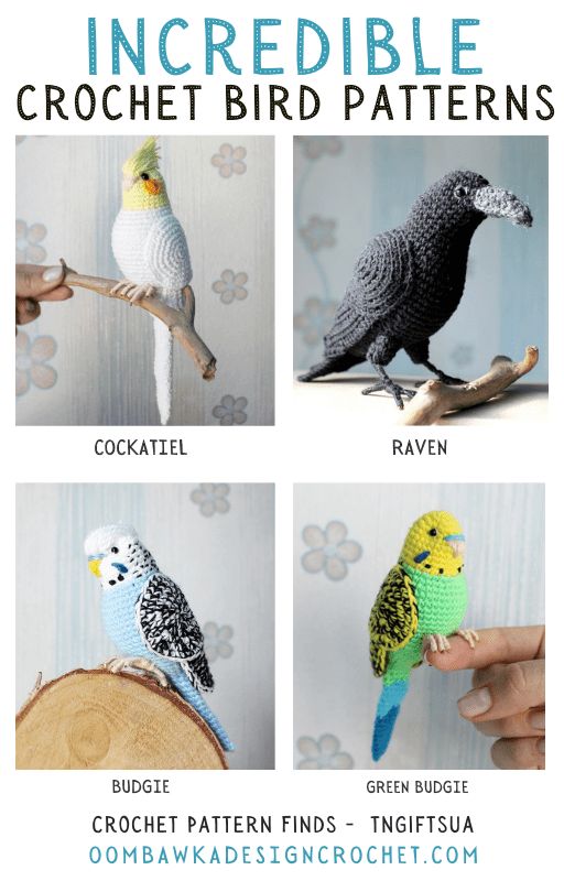 the instructions for crochet bird patterns are shown in four different styles and sizes