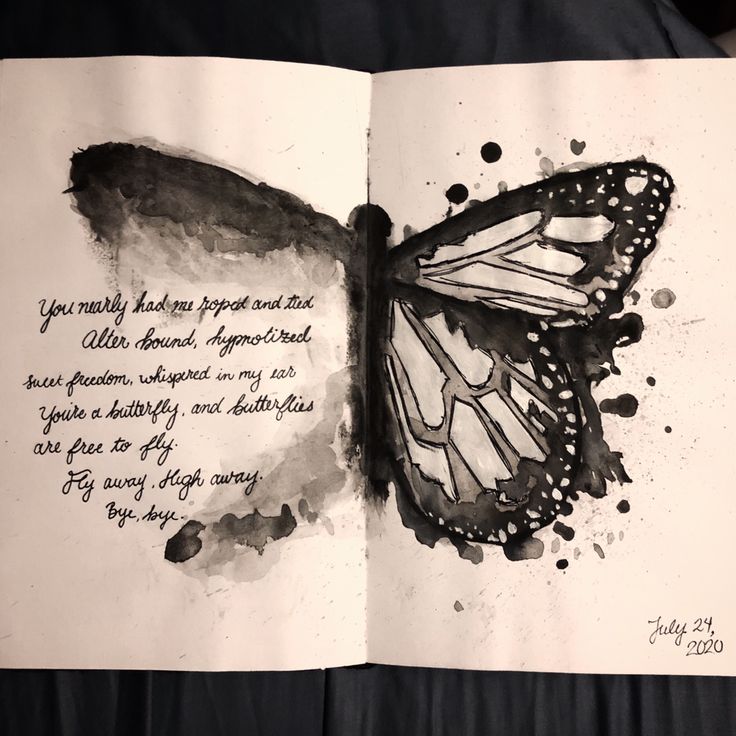 an open book with a drawing of a butterfly on it