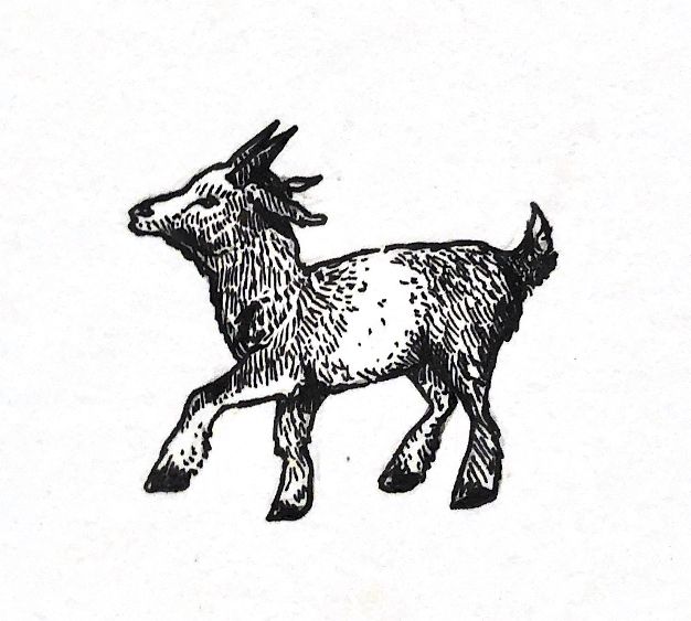 an ink drawing of a goat running in the air with it's tail up