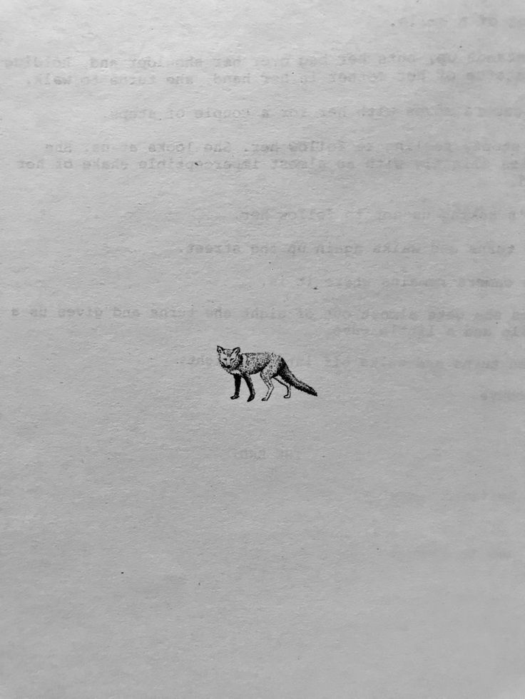 a black and white photo of a fox in the snow