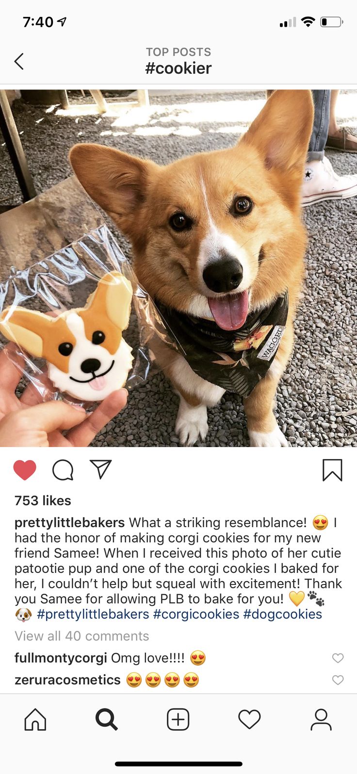 a person holding a small dog toy next to it's owner on instagram