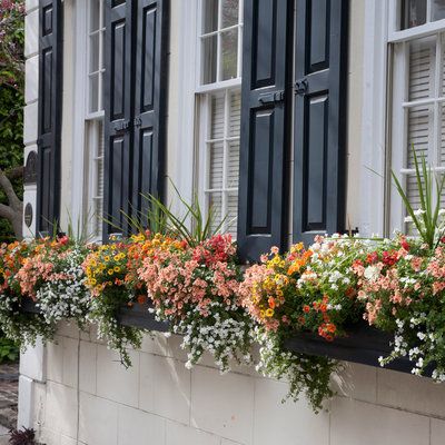 the window boxes are filled with colorful flowers