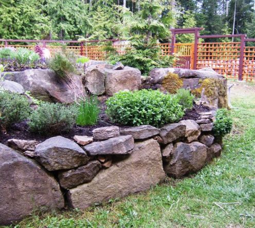 a garden with rocks and plants in it