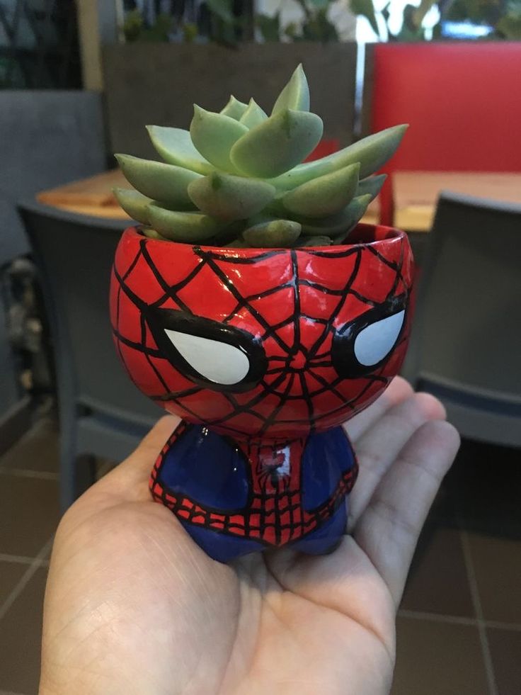 a spiderman planter with succulents in it's mouth is held up