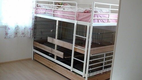 a bunk bed with caged animals in the bottom and top drawers on each side