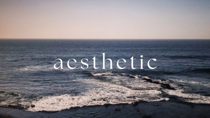 aestheticfashion