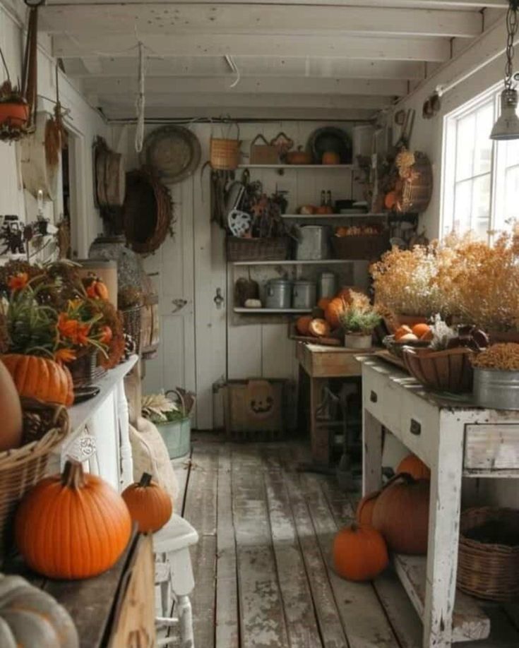 a room filled with lots of different types of pumpkins