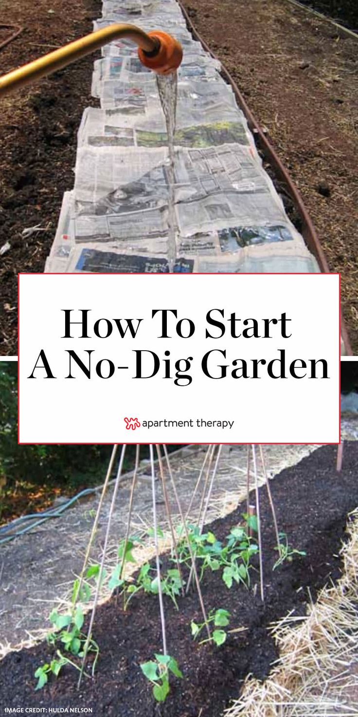 the cover of how to start a no - dig garden, with text overlay