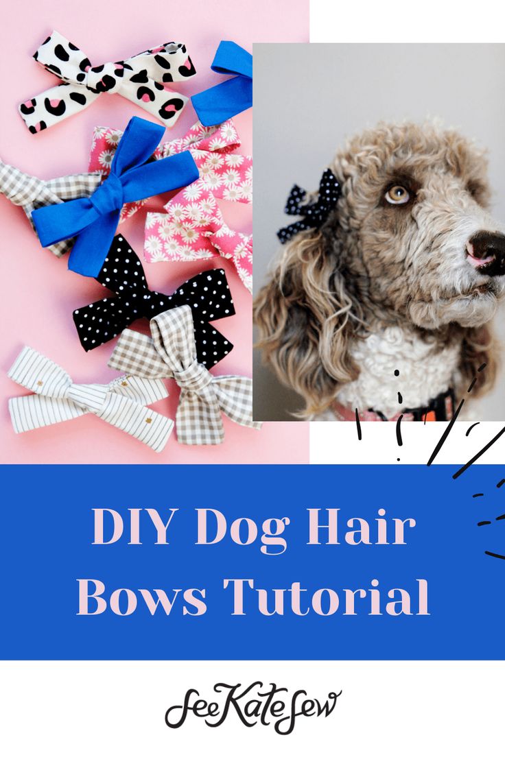 dog hair bows with text overlay that says diy dog hair bows'tutor