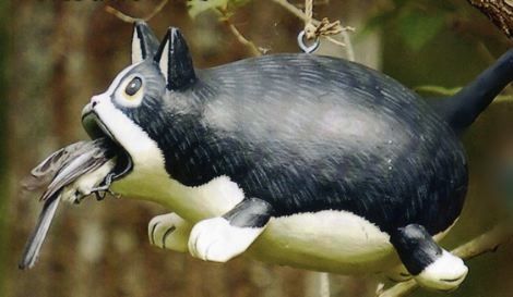 a black and white cat hanging from a tree branch with the words free shipping above it