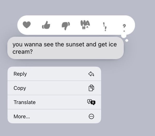 two chat bubbles with the text you wanna't see the sunset and get ice cream?