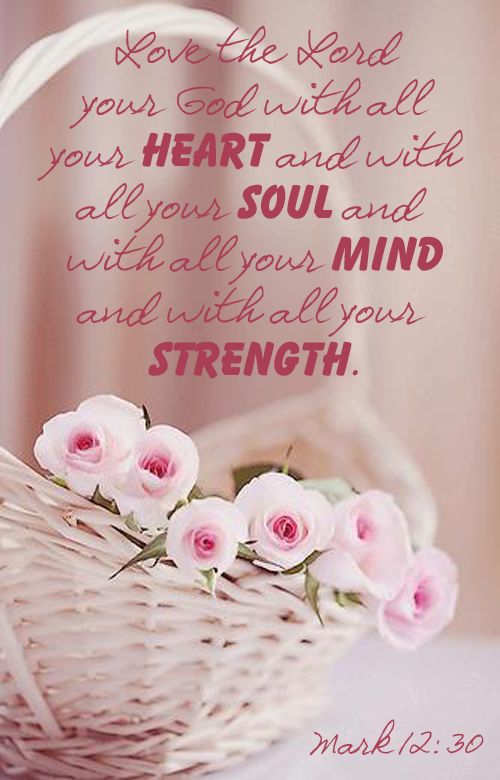 a basket filled with pink flowers sitting on top of a table next to a bible verse