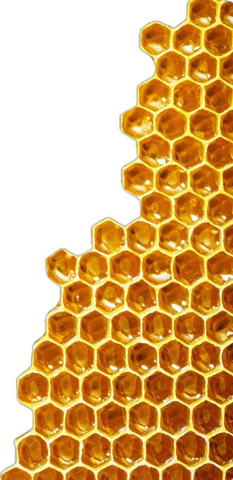 honeycombs are arranged in the shape of hexagons on a white background