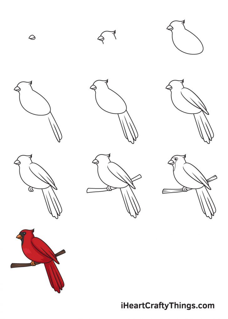 how to draw birds sitting on a branch with different shapes and sizes for children's drawings